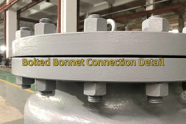 check valve supplier